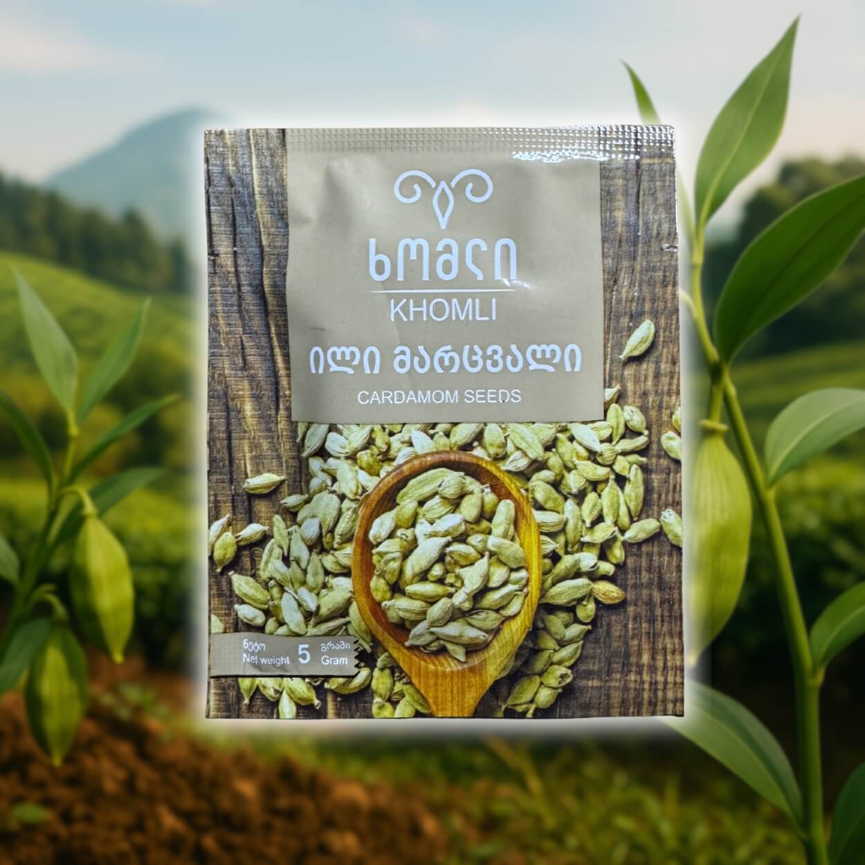 Cardamom seeds – aromatic Georgian spice for sweets and drinks.